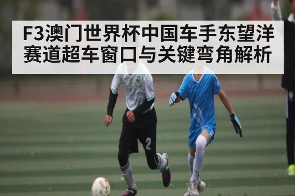 F3澳门世界杯中国车手东望洋赛道超车窗口与关键弯角解析